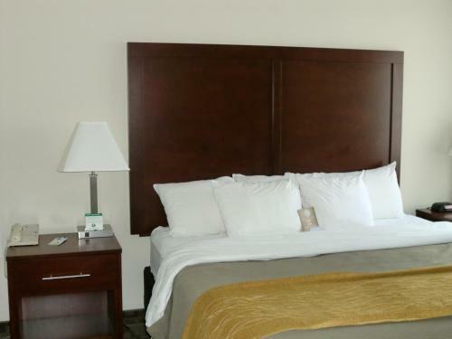 Hotel Comfort Inn Birch Run