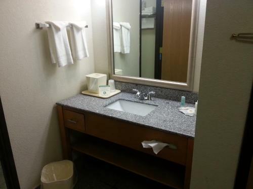 Hotel Comfort Inn Birch Run