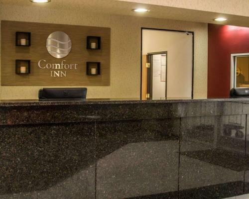Hotel Comfort Inn Birch Run