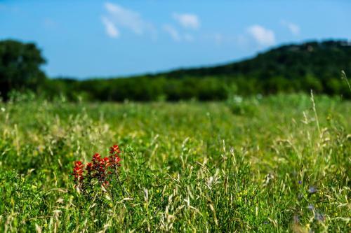Hotel Wildcatter Ranch And Resort
