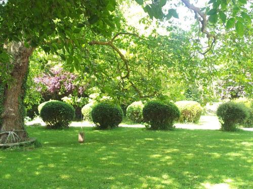 L'orangerie Du Grand Jardin