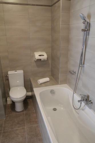 Hotel H�tel Sampiero Corso