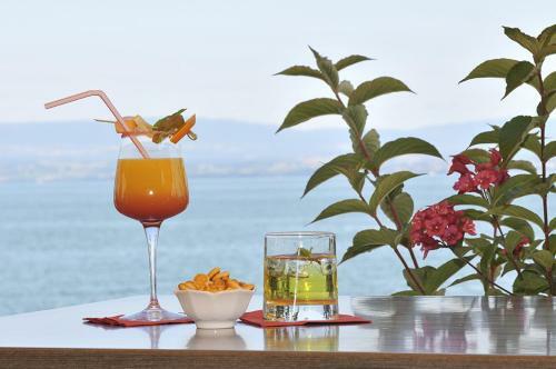 Hotel H�tel Restaurant Le Panorama