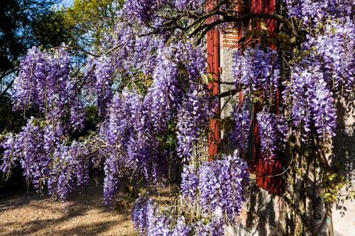 Bed & Breakfast Le Petit Manoir De K�riolet