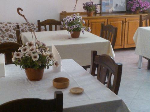 Bed & Breakfast Salento Vacanze