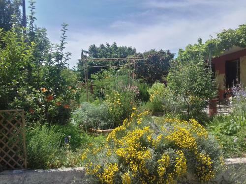 Lazen B&B