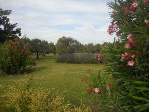 Bed & Breakfast Chambres D'h�tes Le Mas Du Platane