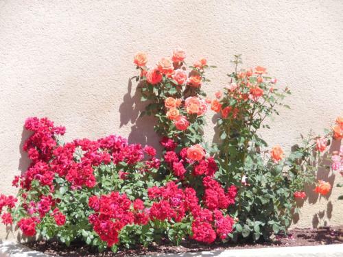 Bed & Breakfast Chambres D'h�tes Le Mas Du Platane