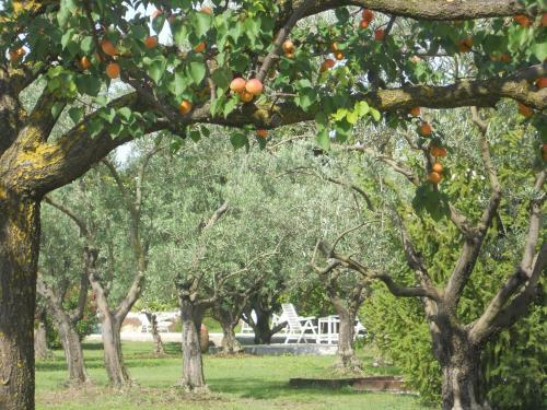 Bed & Breakfast Chambres D'h�tes Le Mas Du Platane
