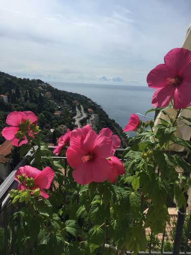 Bed & Breakfast Chambre D'h�tes La Belle Vue