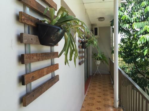 Hostal Pousada Aloha