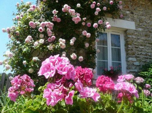 Bed & Breakfast Chambres D'h�tes La Pocterie