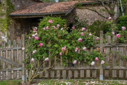 Bed & Breakfast Chambres D'h�tes La Pocterie