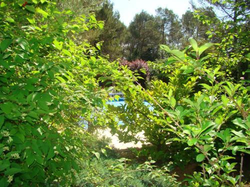 Bed & Breakfast L'or�e Du Bois