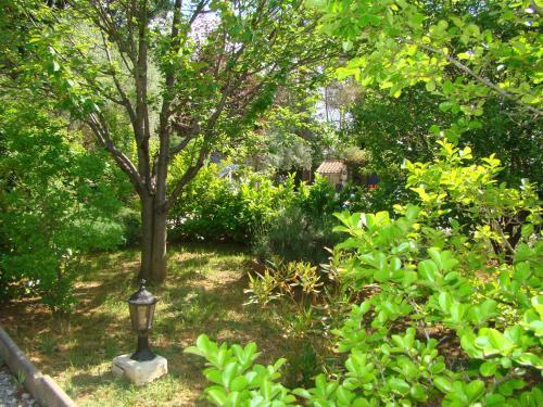 Bed & Breakfast L'or�e Du Bois