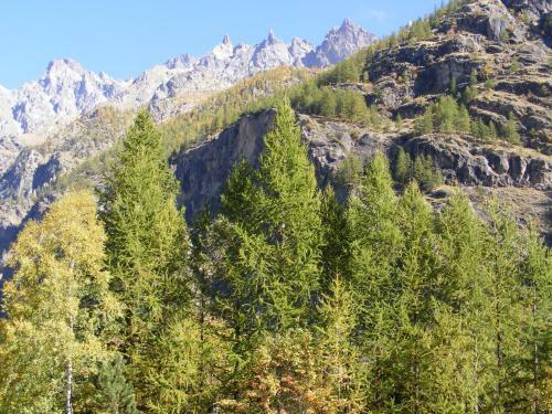 Hotel Ch�let H�tel D'ailefroide