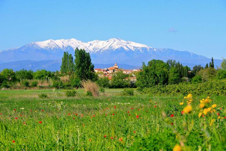 Hotel Premi�re Classe Perpignan Nord