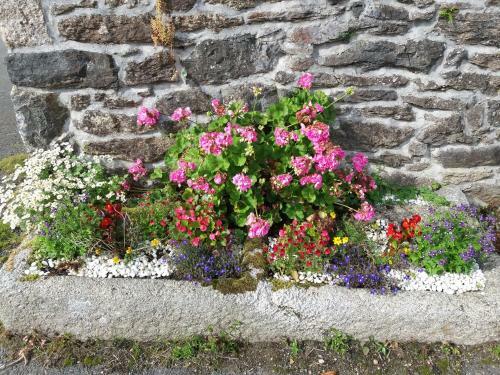 Bed & Breakfast Chambres D'hotes De Fr�d�