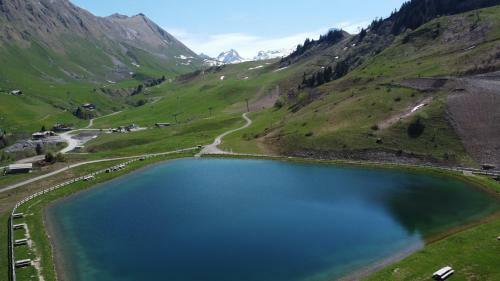 Hotel H�tel Le Vermont