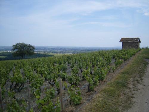 G�te Le Ch�ne Du Py