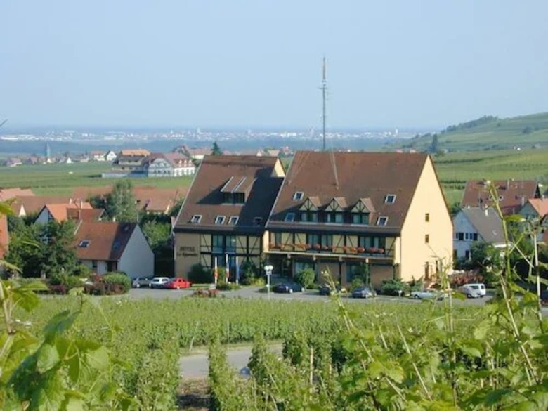 Hotel H�tel Le Riquewihr