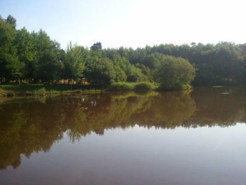 Bed & Breakfast Vosges Chambres D'hotes