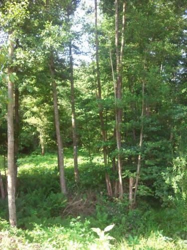 Bed & Breakfast Vosges Chambres D'hotes