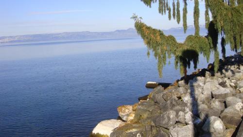Hotel H�tel Les Pavillons Du Golf