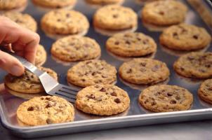 Hotel Doubletree By Hilton Tinton Falls-eatontown