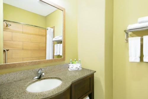 Holiday Inn Express Hotel And Suites Monahans I-20
