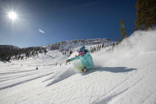 The Lodge At Snowbird