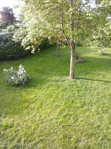Bed & Breakfast Les Rolanges Chambres D'h�tes