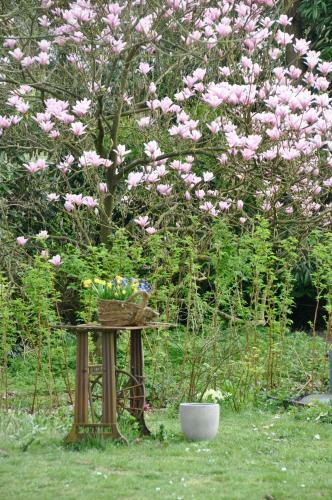 Bed & Breakfast La Petite Madeleine