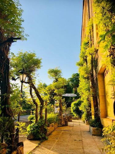 Hotel H�tel Le Cro-magnon