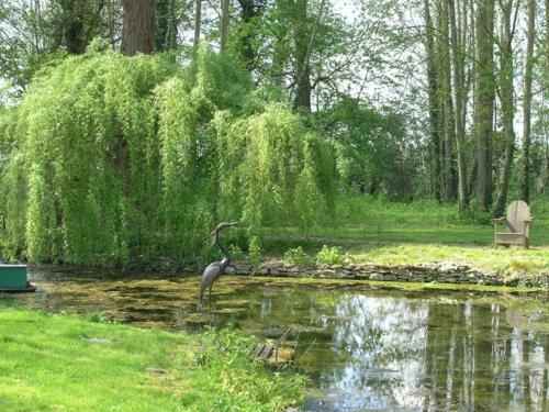 Bed & Breakfast Chambres D'h�tes Grand Bouy