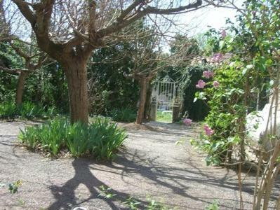 Apartamentos R�sidence Sainte Annette