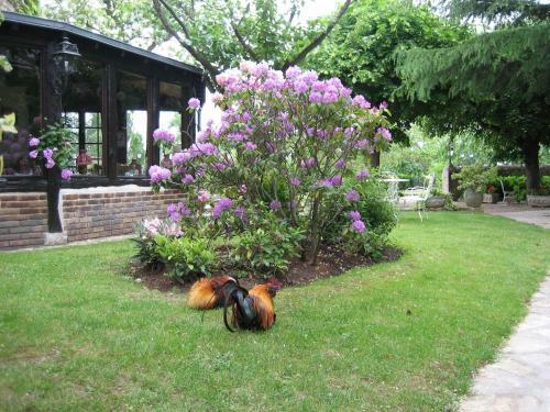 Bed & Breakfast Le Relais De La Tour