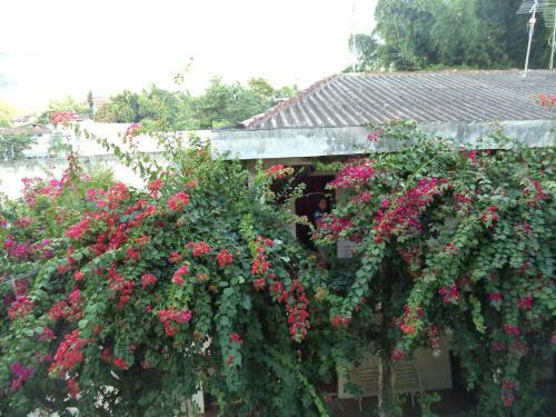 Apartamento Chal�s Xibayka Ilhabela