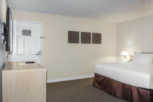 Hotel Riviera Shores Resort