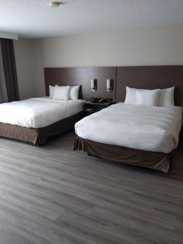 Hotel Country Inn By Carlson Buffalo