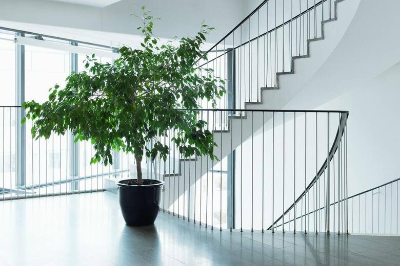 Hotel Scandic Park Stockholm