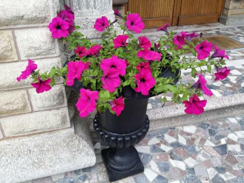 Bed & Breakfast Le Castel Guesthouse