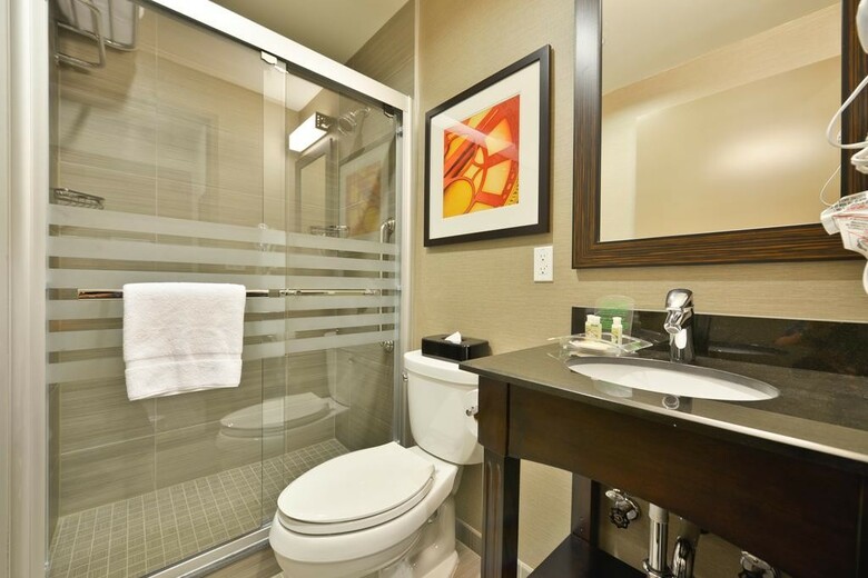 Hotel Holiday Inn Nyc - Lower East Side