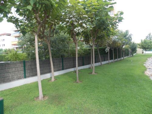 Apartamentos Boulevard