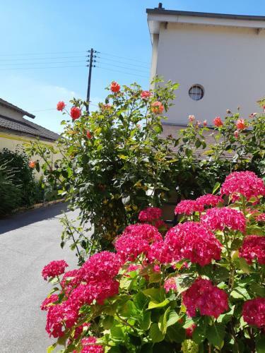 Hotel Aerotel Versailles Saint Cyr - L'�tape Du Silence