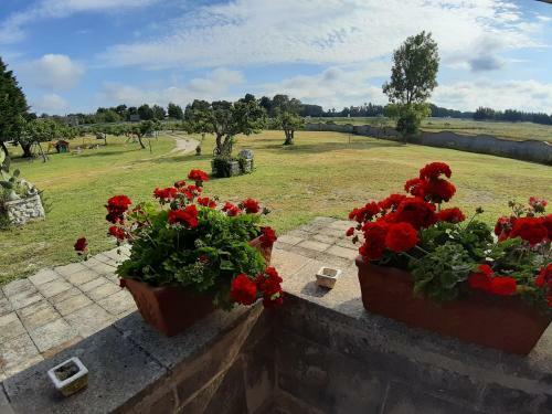 Bed & Breakfast La Nicchiarica