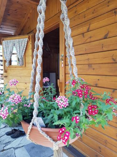 Apartamento Appartement K�nigslehen