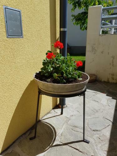 Apartamento Appartement K�nigslehen