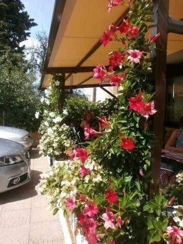 Hotel Albergo Al Pescatore