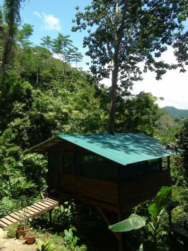 Bed & Breakfast Ka'kau Jungle Cabinas